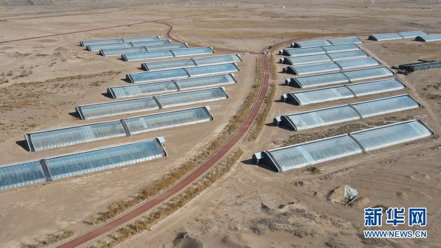 甘肅民勤：“沙鄉(xiāng)”興起現(xiàn)代農(nóng)業(yè)