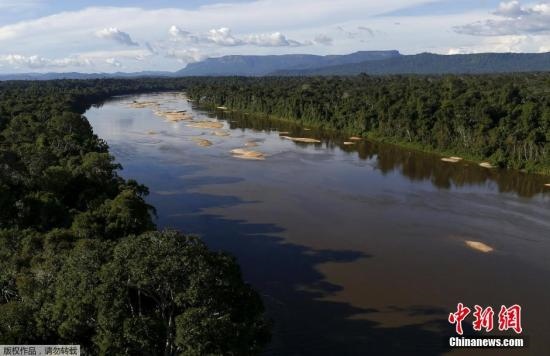 資料圖：亞馬孫雨林內(nèi)的河流。