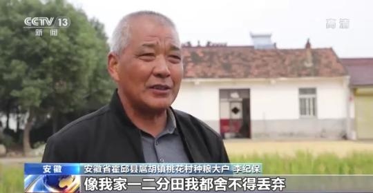 十八連豐！秋收近九成 我國(guó)糧食產(chǎn)能穩(wěn)步提升