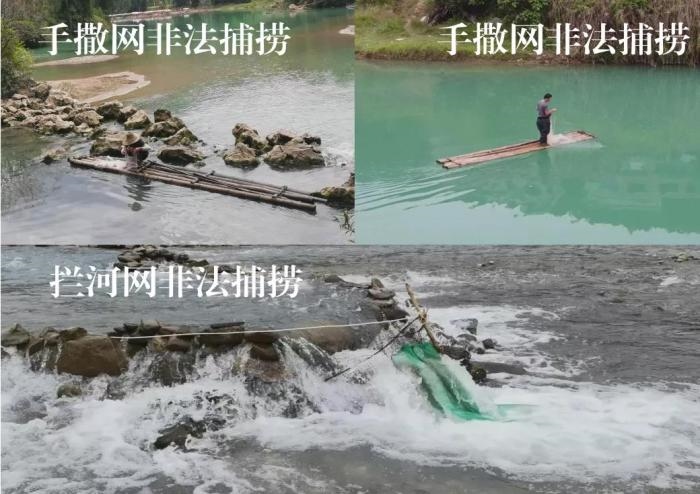 2021年9—10月，前期暗查發(fā)現(xiàn)，保護區(qū)核心區(qū)內(nèi)非法捕撈行為十分猖獗