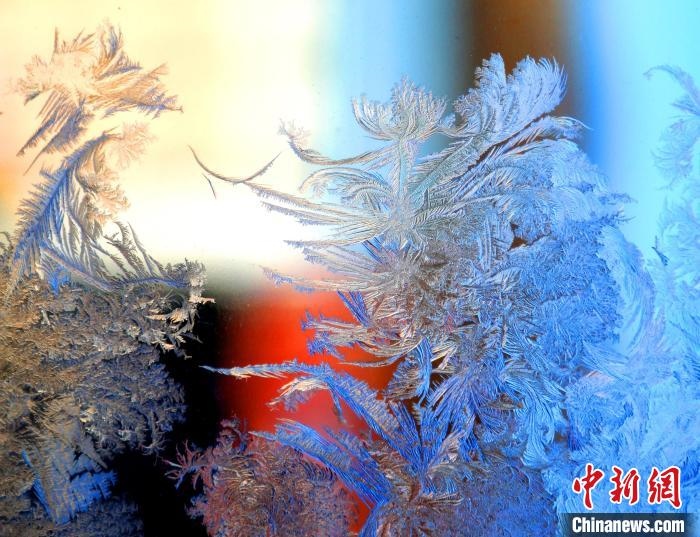 冰窗花千姿百態(tài)?！O書程 攝