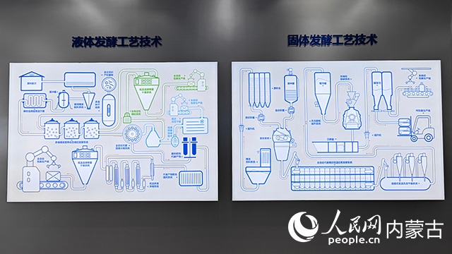 科拓生物工藝技術(shù)展示。人民網(wǎng)記者 張雪冬攝