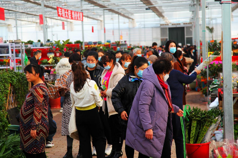 赤峰市民在松山區(qū)雨潤花卉市場選購鮮花 李富 攝.png