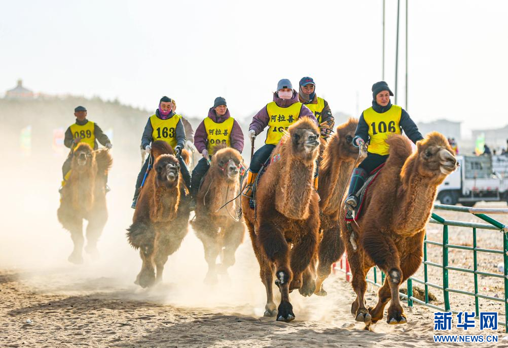 3月7日，賽駝手在6000米成年駱駝場地速度賽比賽中。.jpg