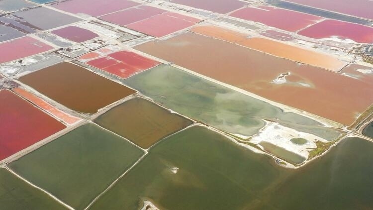 鑒往知來，跟著總書記學(xué)歷史丨走進(jìn)一座博物館，尋根五千年中華文明