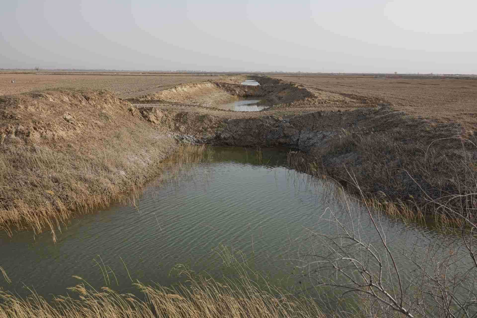 堵塞的排堿渠。 人民網(wǎng)記者 游天燚攝