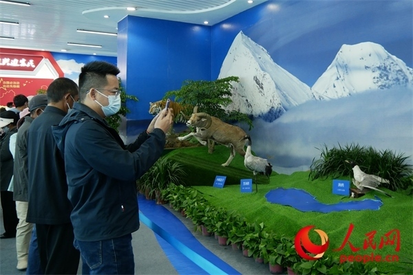 6月17日，觀眾正在觀展。人民網(wǎng) 韋衍行攝