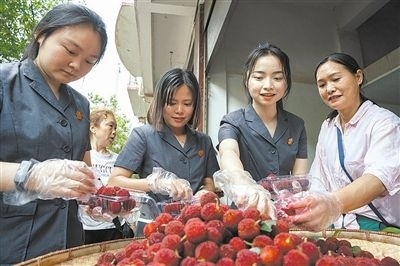 志愿者和村民一起將摘下的楊梅裝進食品盒里。