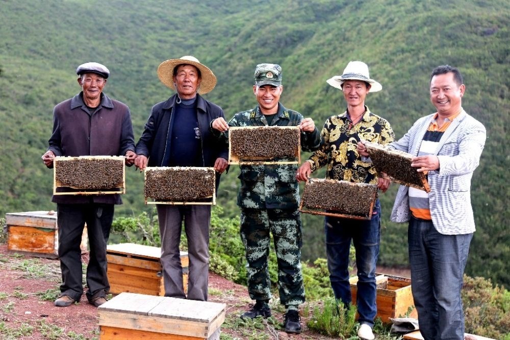 ↑武警四川總隊(duì)涼山支隊(duì)精準(zhǔn)幫扶昭覺(jué)縣梭梭拉打村發(fā)展養(yǎng)蜂產(chǎn)業(yè)，總隊(duì)駐村扶貧干部布哈（中）和村民一同展示豐收成果（2019年6月12日攝）。新華社發(fā)（楊劍 攝）