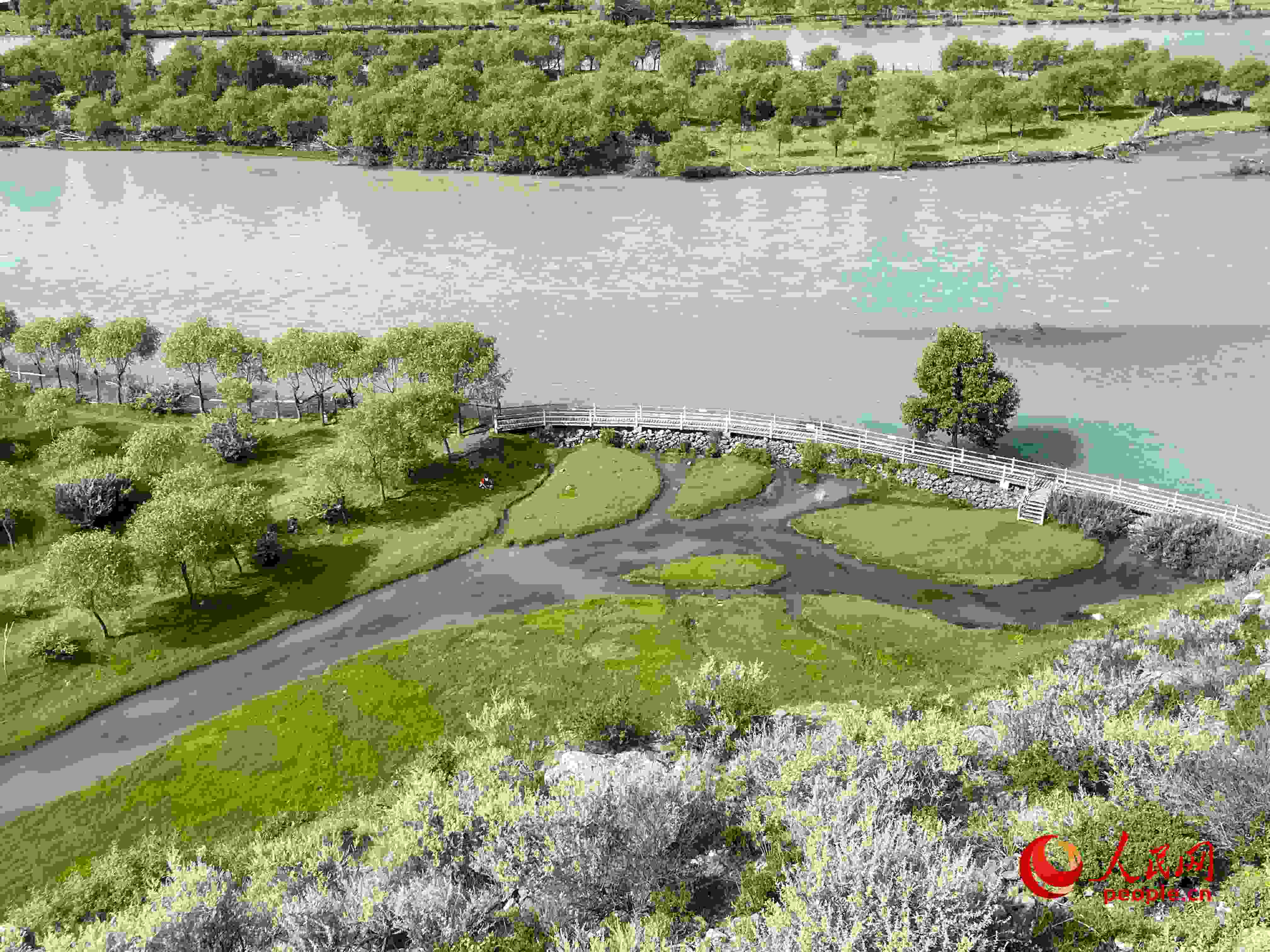 夏日的雅尼國(guó)家濕地公園生機(jī)盎然，如詩(shī)如畫(huà)。人民網(wǎng) 周靜圓攝