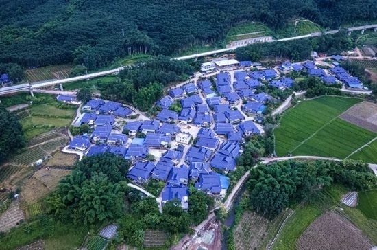 磨憨鎮(zhèn)曼莊村大龍哈小組現(xiàn)代化邊境幸福村新貌。人民網(wǎng)記者 符皓攝