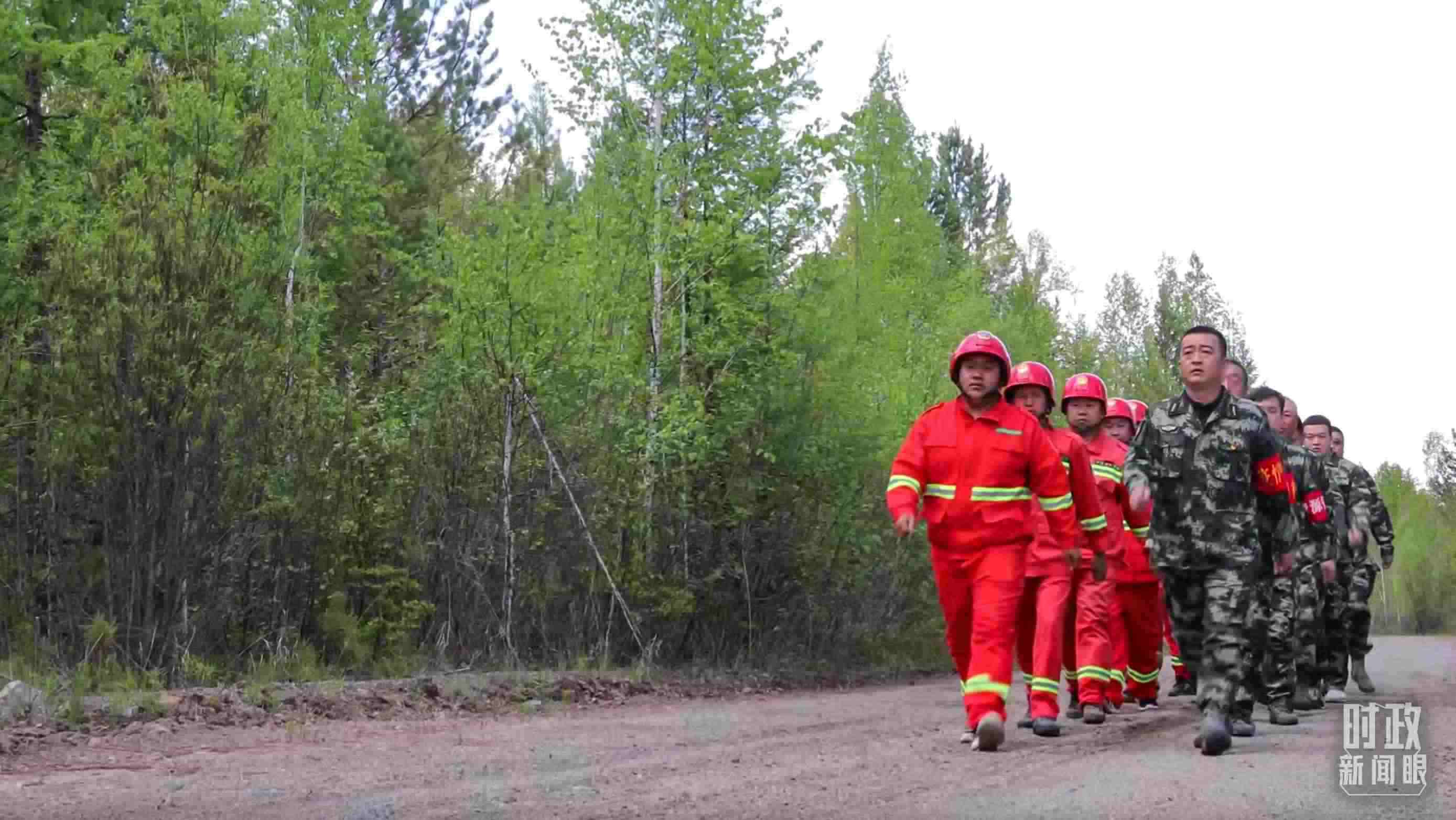 △林場里的森林巡護。