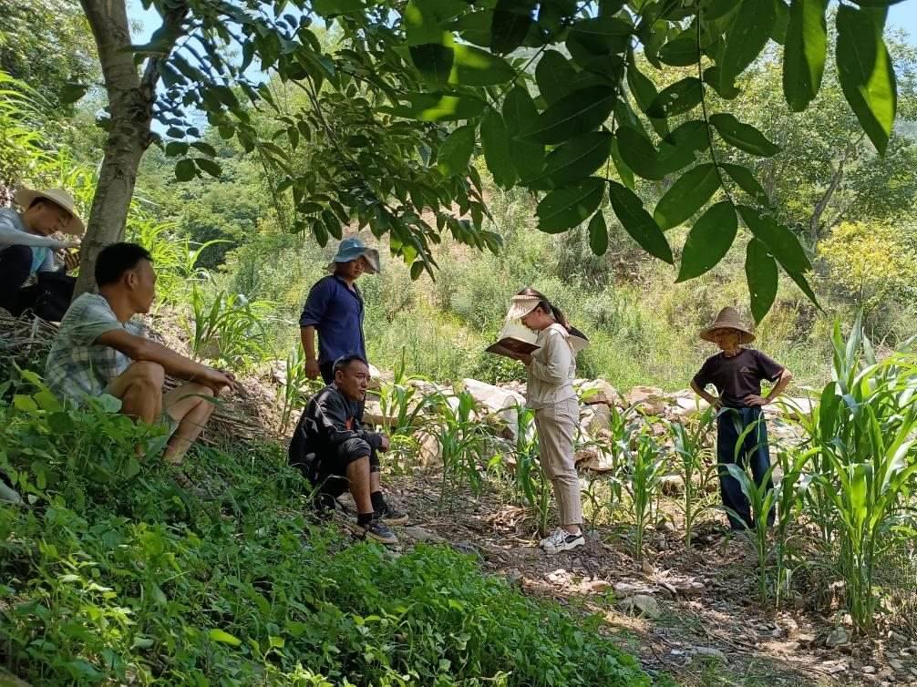 2023年7月18日，兩家村民發(fā)生土地方面的糾紛，李江女（右二）在記錄情況。受訪者供圖