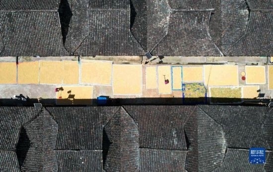 9月16日，在貴州省黔東南苗族侗族自治州從江縣加勉鄉(xiāng)污扣村，村民在晾曬稻谷（無人機照片）。