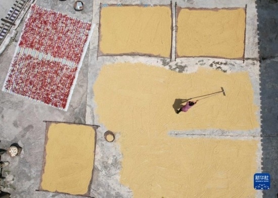 9月16日，村民在貴州省黔東南苗族侗族自治州施秉縣馬溪鄉(xiāng)王家坪村晾曬稻谷（無人機照片）。