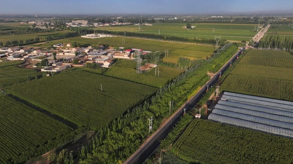 東興村周邊建起防護林網(wǎng)（無人機照片，2023年9月12日攝）。新華社記者李云平 攝