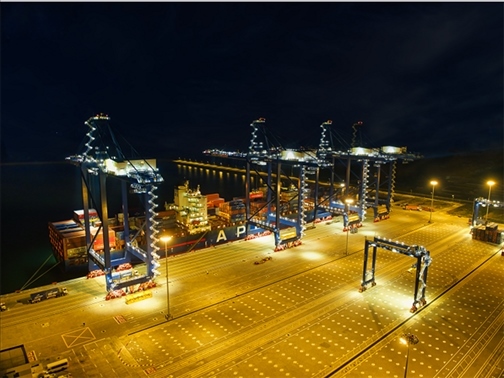 萊基港實(shí)行7×24小時(shí)裝卸作業(yè)機(jī)制。受訪者供圖