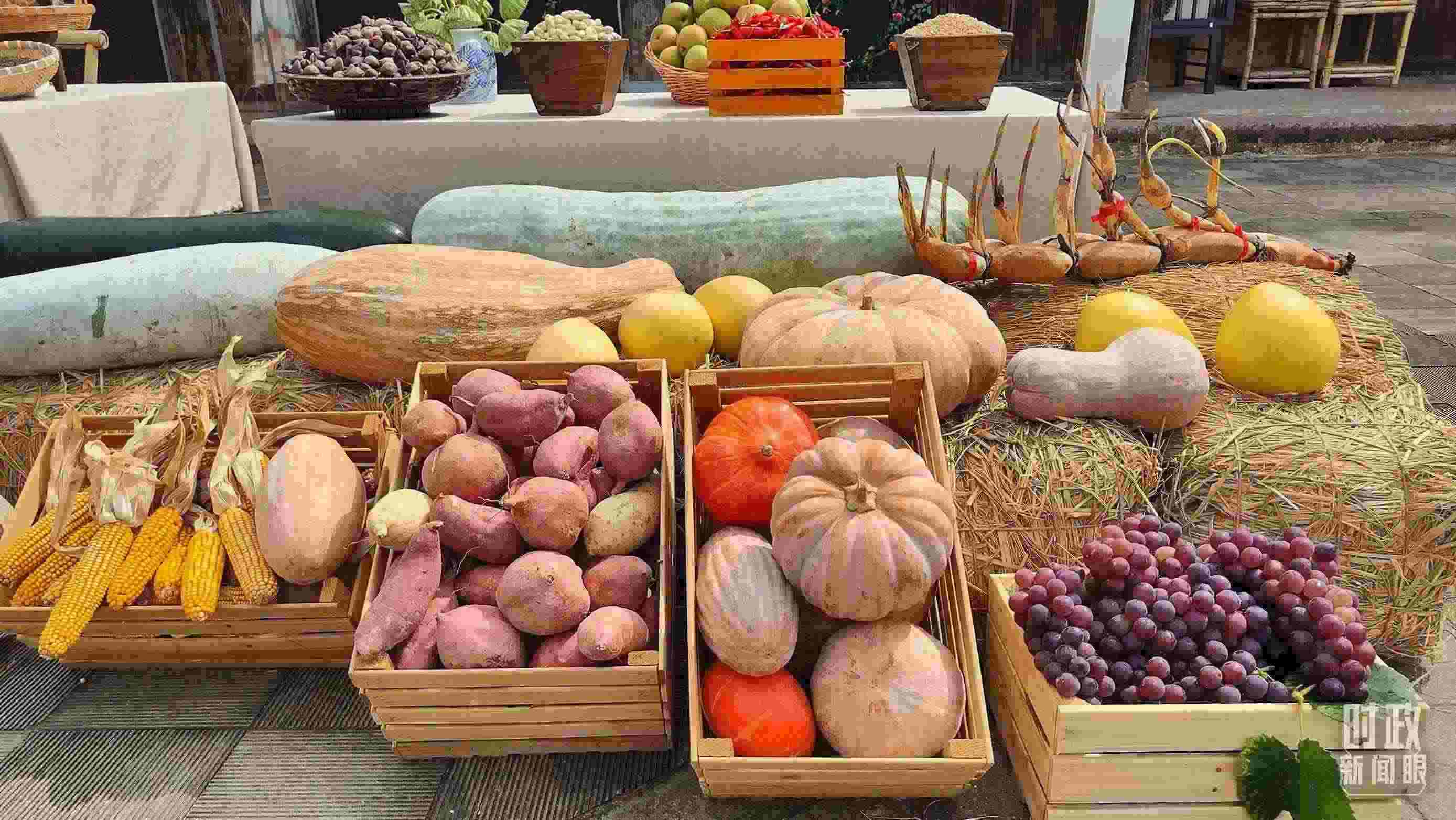 △村廣場(chǎng)“共富市集”，擺放著種類豐富的特色農(nóng)產(chǎn)品。（總臺(tái)央視記者楊立峰拍攝）