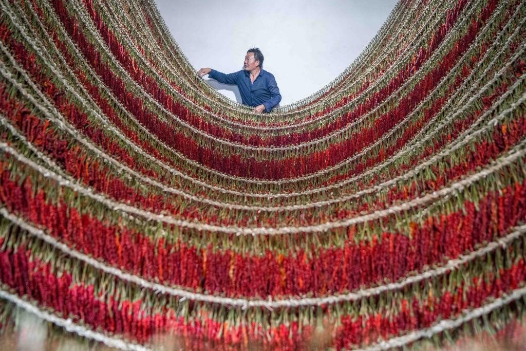 在貴州省畢節(jié)市大方縣理化鄉(xiāng)金雞村，村民查看辣椒烘干情況。新華社發(fā) 羅大富攝