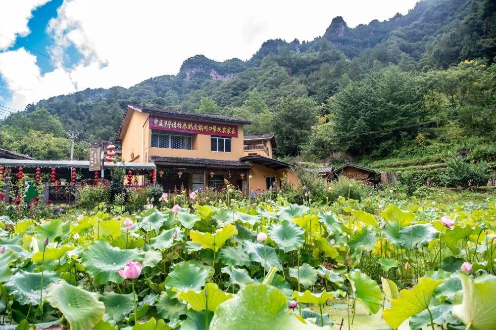 這是8月28日拍攝的華溪村村民開設的農家樂外景。新華社記者 唐奕 攝