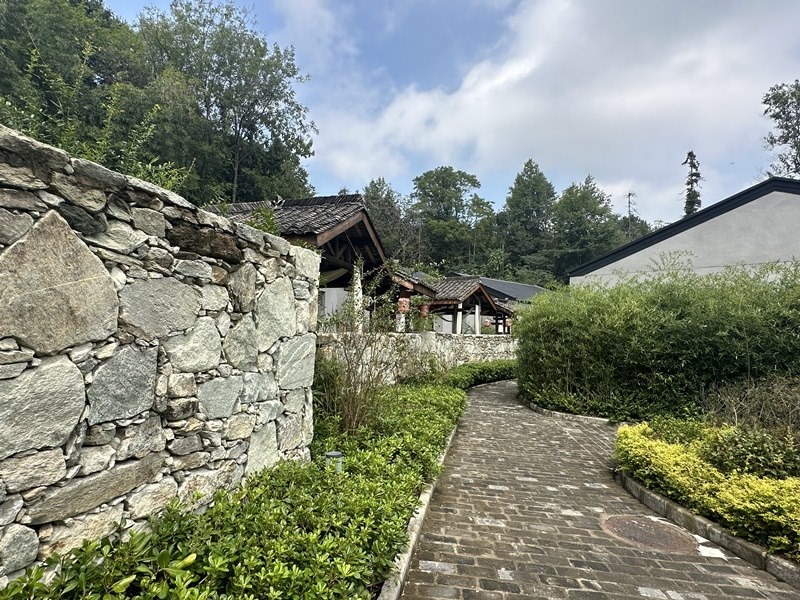 眾多民宿坐落于夫子山山麓。人民網(wǎng) 王紹紹攝