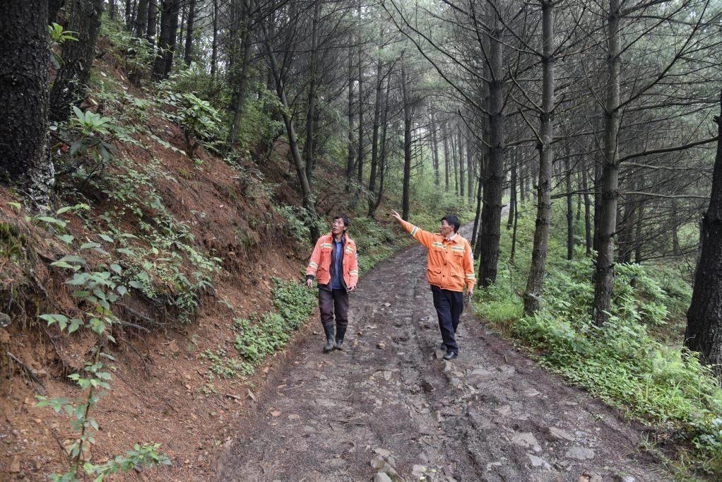 海雀村生態(tài)護林員馬正安（左）和海雀村林管員王光德（右）在日常巡山護林。新華社記者 李凡 攝