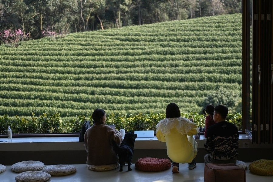 游客在浙江省安吉縣黃杜村萬(wàn)畝茶園邊的咖啡館休閑（2023年2月21日攝）。