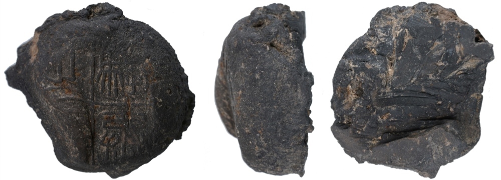 騶丞之?。ㄇ卮椅奈锞止﹫D