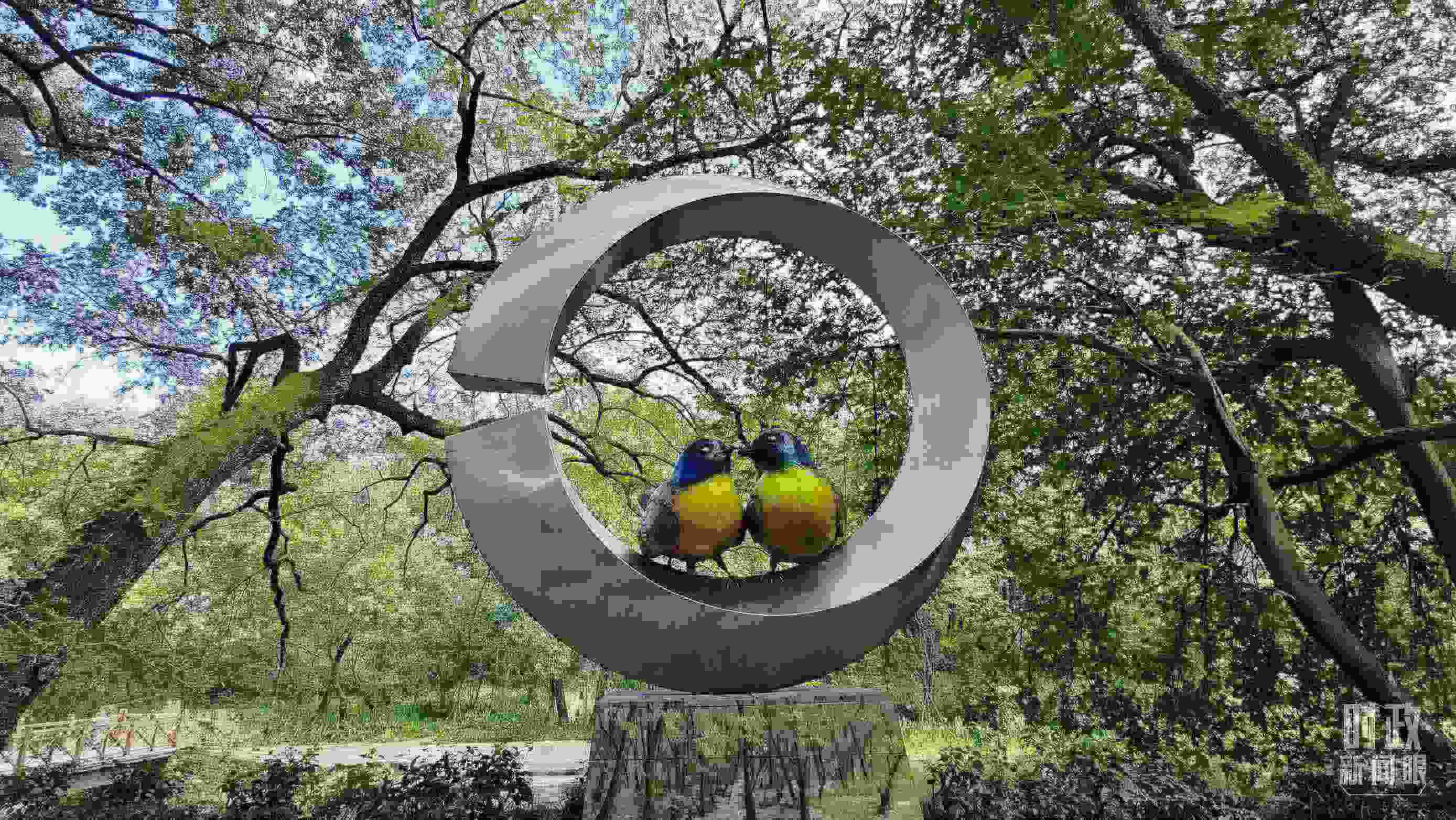 △石門村里的藍(lán)冠噪鹛雕像。（總臺(tái)央視記者許永松拍攝）