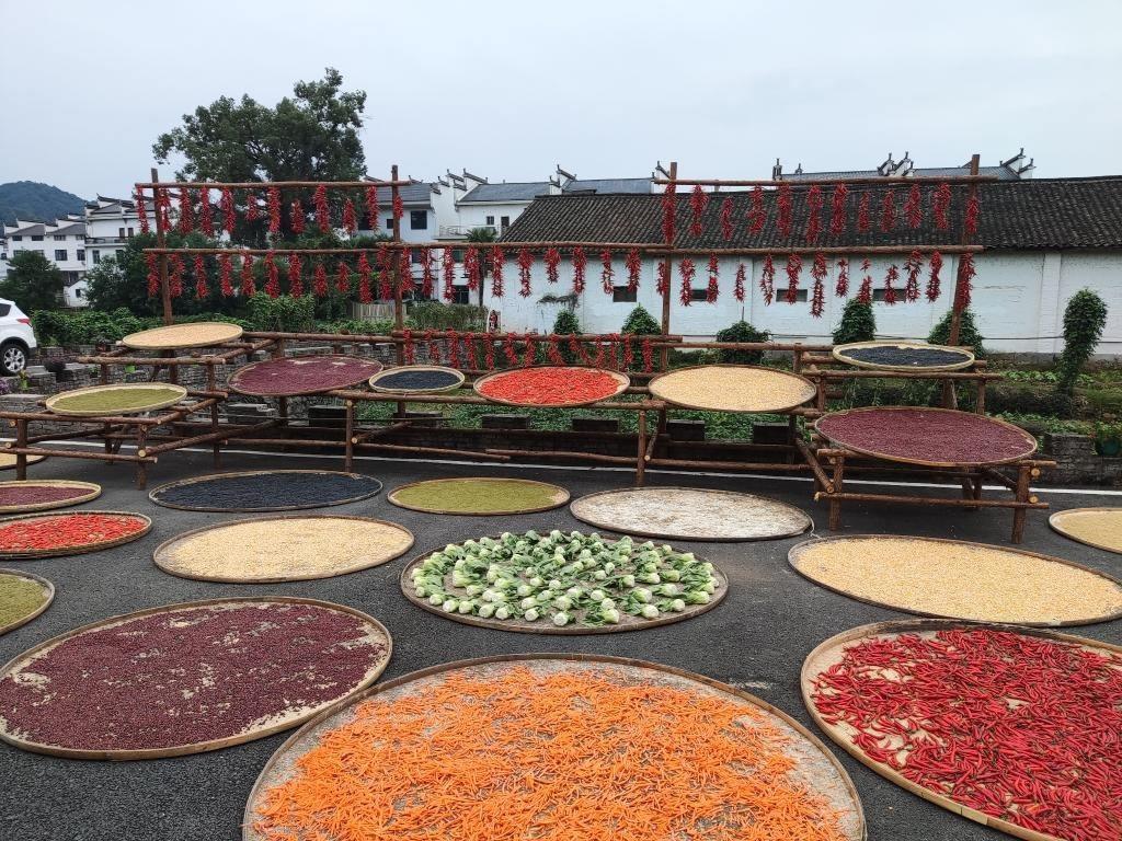 近日，江西省上饒市婺源縣秋口鎮(zhèn)王村村民晾曬的農(nóng)作物。新華社記者 劉佳敏 攝