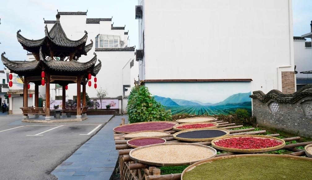 近日拍攝的江西省上饒市婺源縣秋口鎮(zhèn)王村石門自然村曬秋場景。新華社記者 胡晨歡 攝