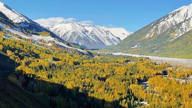 “新東方快車”沿途風景。