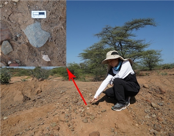 地層中的勒瓦婁哇石片。中肯聯(lián)合考古隊供圖