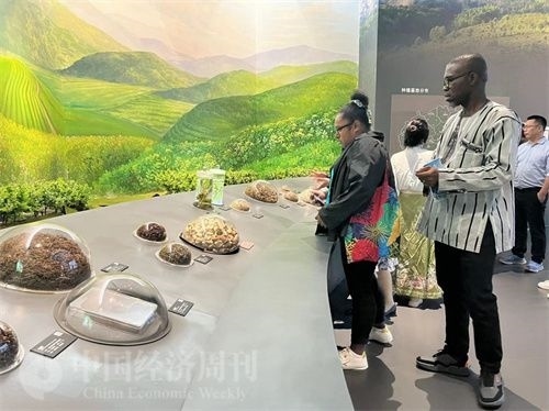  （在中國藥都中醫(yī)藥博物館，外媒記者了解中醫(yī)藥發(fā)展史。中國經(jīng)濟周刊記者 郭志強 攝）