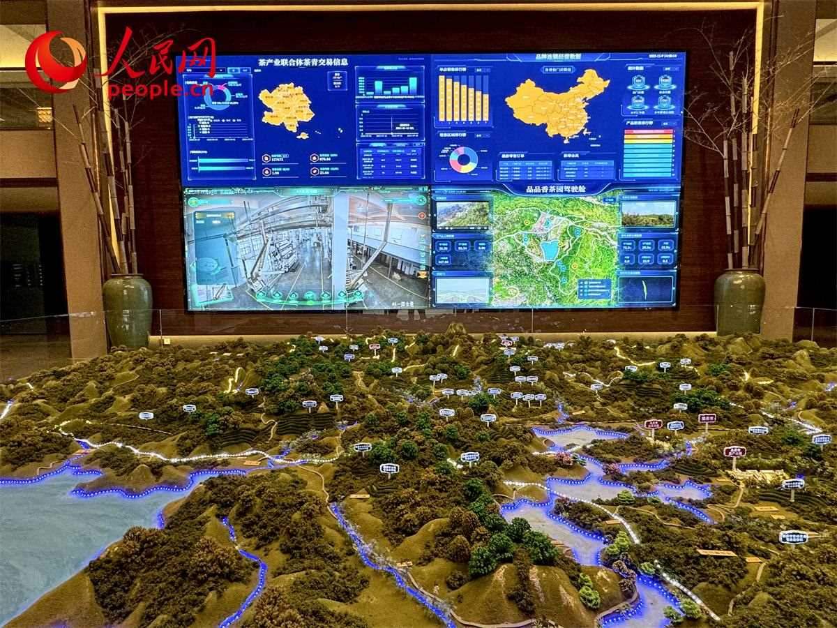 品品香白茶產(chǎn)業(yè)園信息中心數(shù)智化大屏。人民網(wǎng)記者 劉微攝