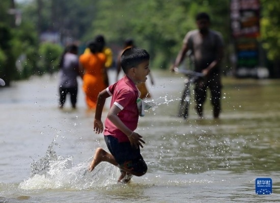 11月24日，一名男孩在斯里蘭卡加姆珀哈涉水出行。新華社發(fā)（阿吉特·佩雷拉攝）