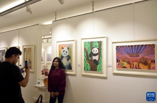 11月22日，在孟加拉國(guó)達(dá)卡，人們?cè)凇皣?guó)家印象”繪畫(huà)展上參觀拍照。新華社發(fā)（薩利姆攝）