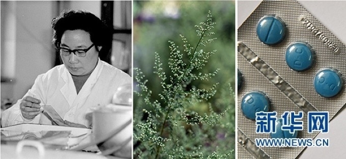 屠呦呦、青蒿和抗瘧疾成藥（拼版資料照片）