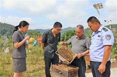  圖②：蒙山法院黃村法庭法官深入蜂蜜合作社，實(shí)地了解蜂農(nóng)需求。
