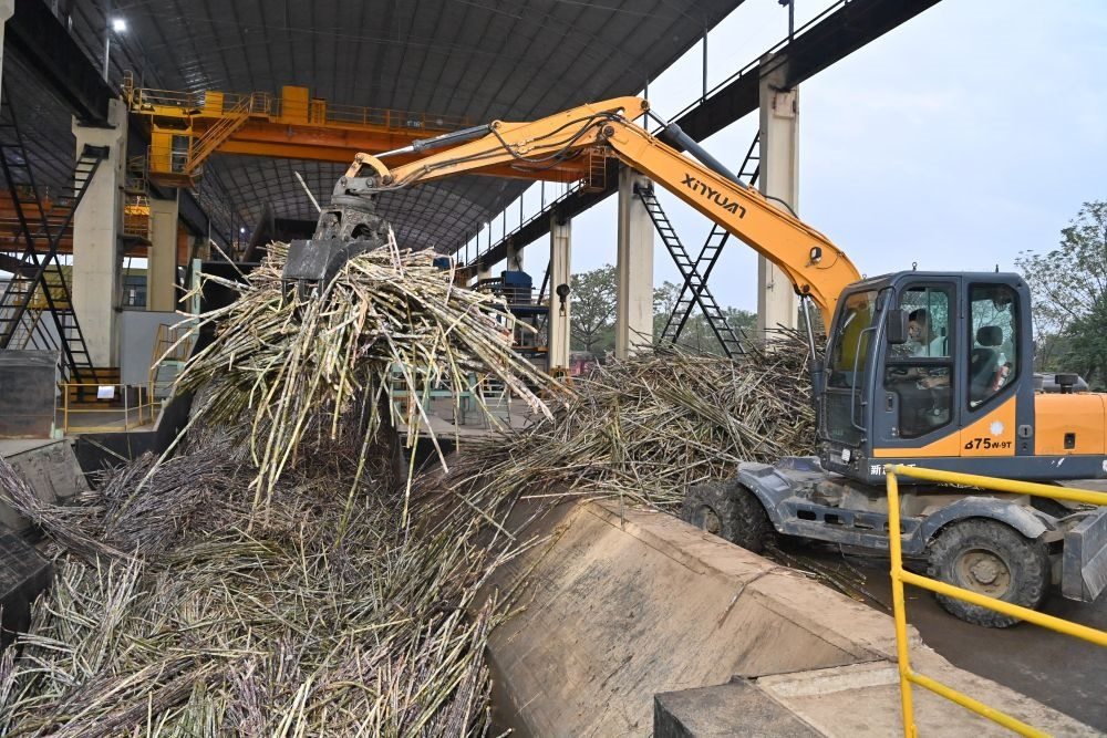 12月14日，在廣西來(lái)賓東糖鳳凰有限公司，員工操作機(jī)械將甘蔗投入傳送帶，準(zhǔn)備送往壓榨車(chē)間。