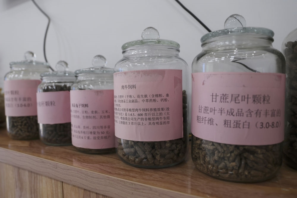 這是12月13日在來(lái)賓市興賓區(qū)小平陽(yáng)鎮(zhèn)一家飼料廠拍攝的以甘蔗尾葉為原料制成的飼料。