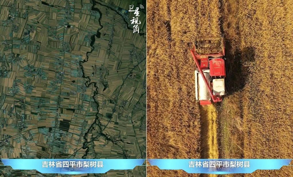 隨著現(xiàn)代化農(nóng)機(jī)普及應(yīng)用，保護(hù)性耕作“梨樹模式”得以大面積推廣，不僅使黑土地保護(hù)與利用持續(xù)深入，更為糧食作物高產(chǎn)穩(wěn)產(chǎn)助力。