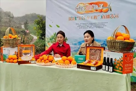 2021年2月26日，在重慶渝北區(qū)大盛鎮(zhèn)青龍村舉辦的直播活動現(xiàn)場。