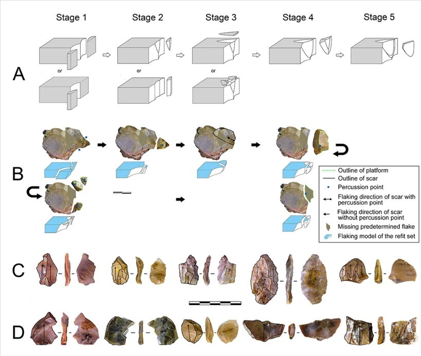 岑家灣遺址“準備石核技術(shù)”及相關(guān)石制品。（受訪單位供圖）