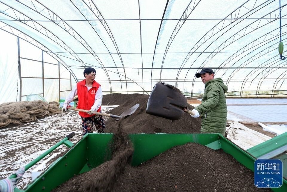 新華全媒+｜“大糧倉”黑龍江春耕備耕火熱進(jìn)行