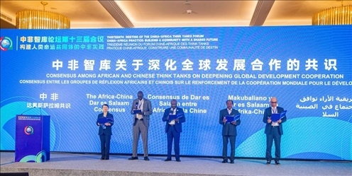 《中非智庫關于深化全球發(fā)展合作的共識》（又稱“中非達累斯薩拉姆共識”）發(fā)布。浙江師范大學非洲研究院供圖