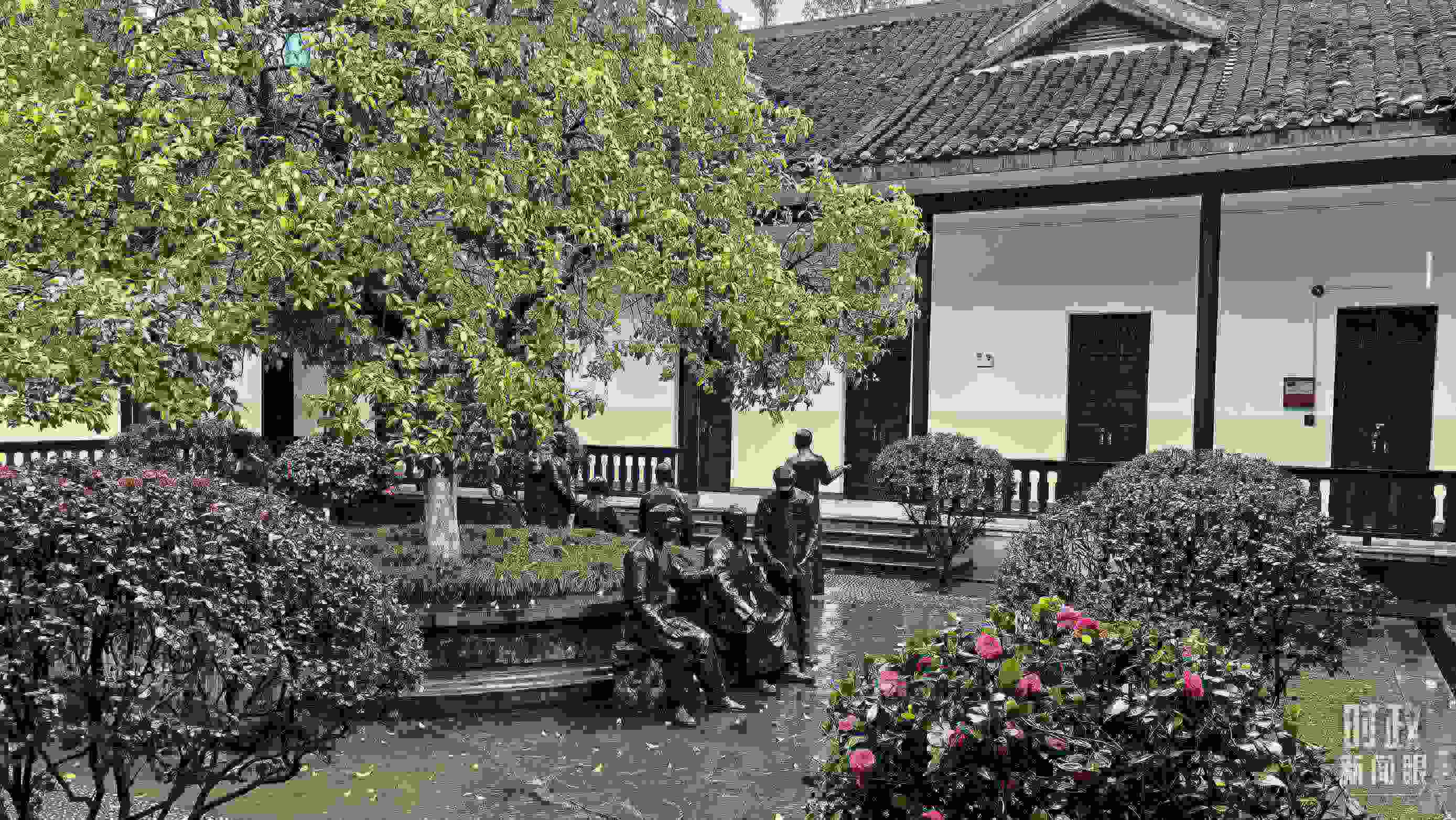 △湖南第一師范學院（城南書院校區(qū)）校園里。（總臺央視記者趙化拍攝）