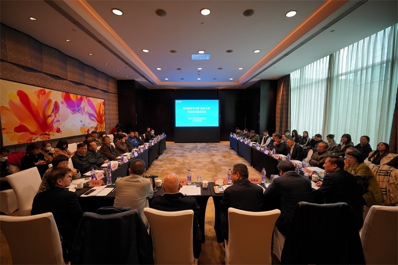 座談會(huì)現(xiàn)場。主辦方供圖