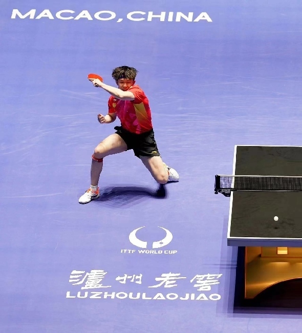 王楚欽在比賽中。賽事方供圖