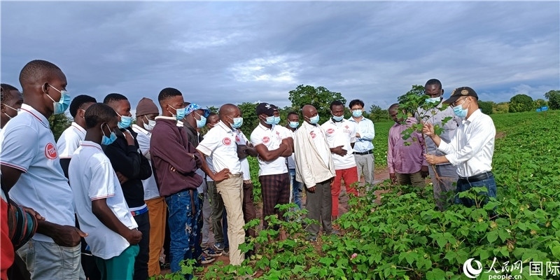 項(xiàng)目組長(zhǎng)首小勇向當(dāng)?shù)孛揶r(nóng)做技術(shù)講解。人民網(wǎng)記者 黃培昭攝